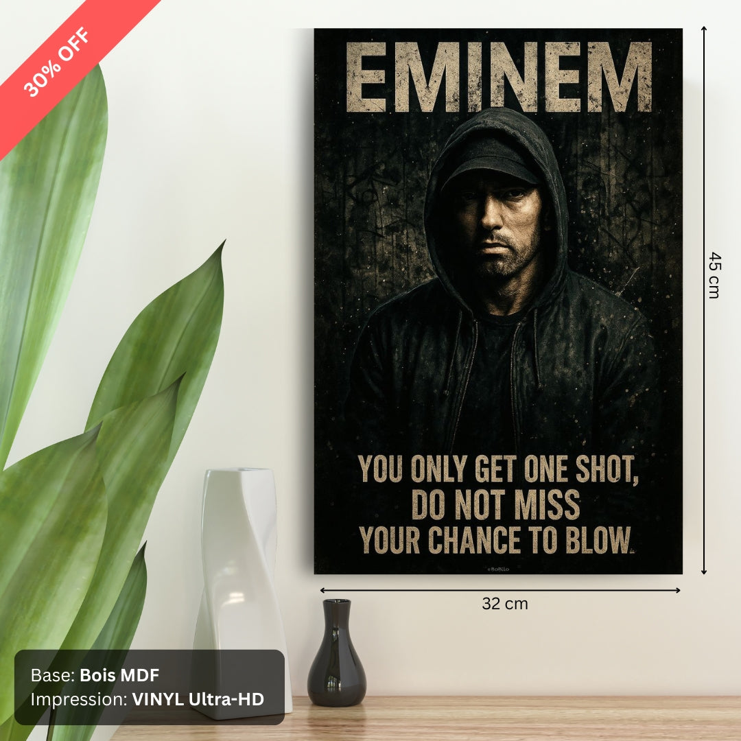 Tableau MDF - Eminem